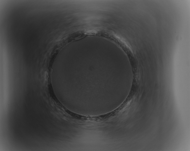 X0000101101445200806261502