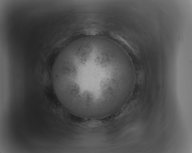 X0000101101446200806261502