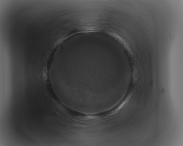 X0000101101449200806261502