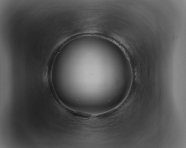 X0000101101452200806261502