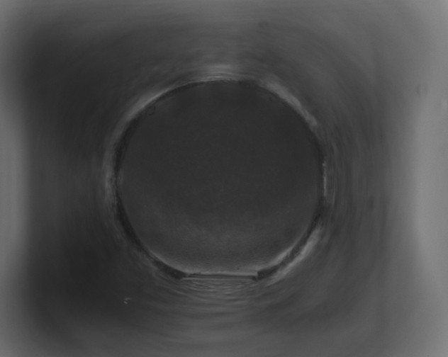 X0000101101453200806261502