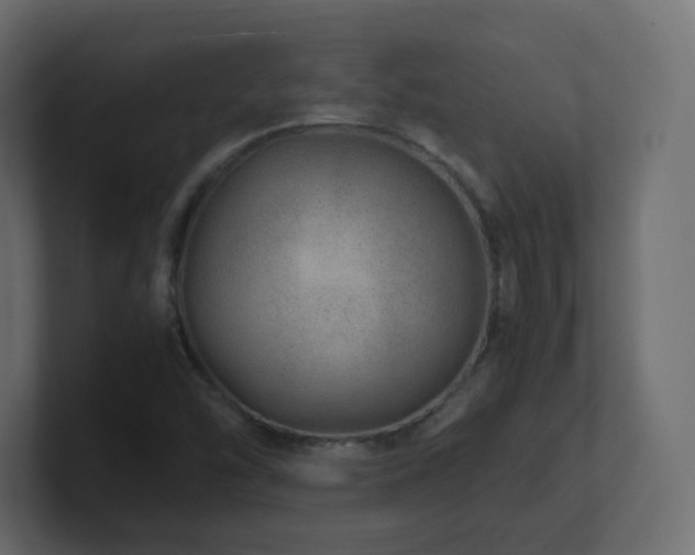 X0000101101454200806261502