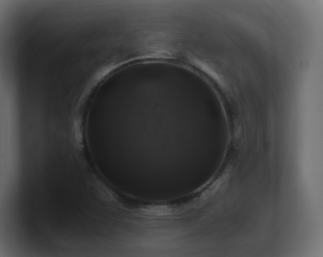X0000101101455200806261502