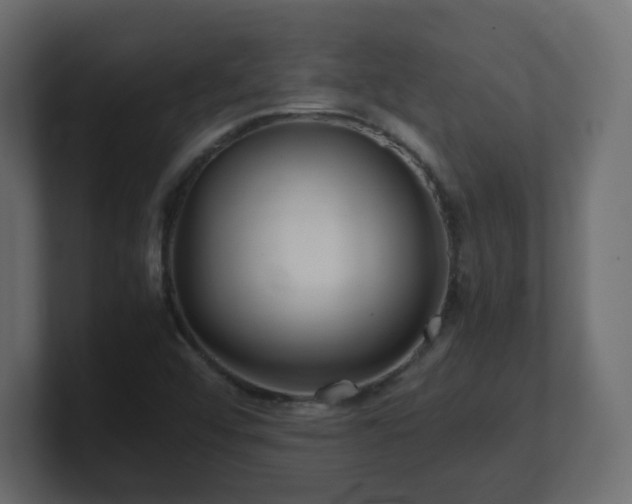 X0000101101456200806261502