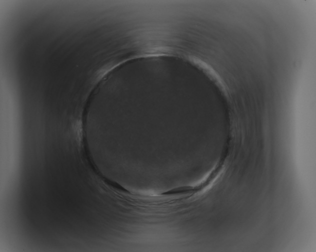 X0000101101457200806261502