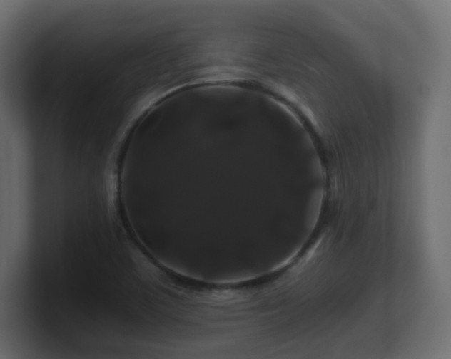 X0000101101459200806261502