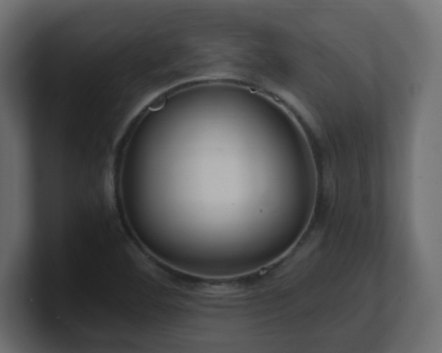 X0000101101460200806261502