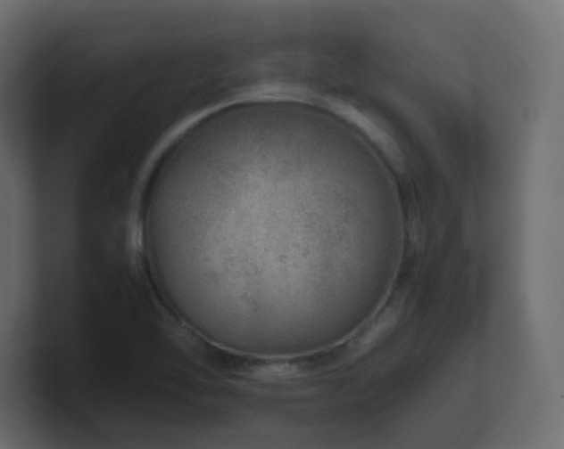 X0000101101462200806261502
