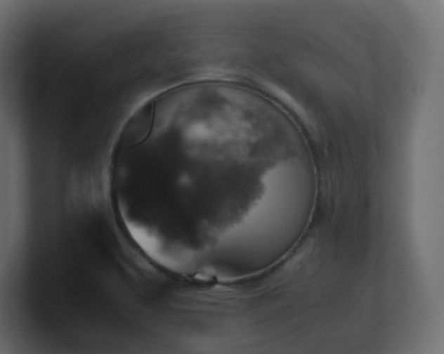 X0000101101463200806261502