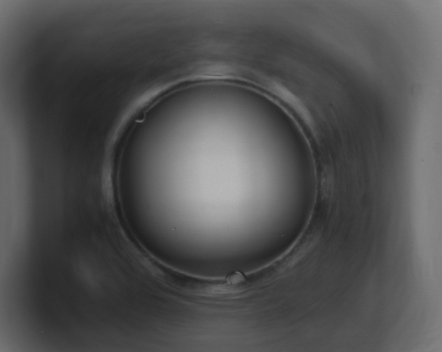 X0000101101464200806261502