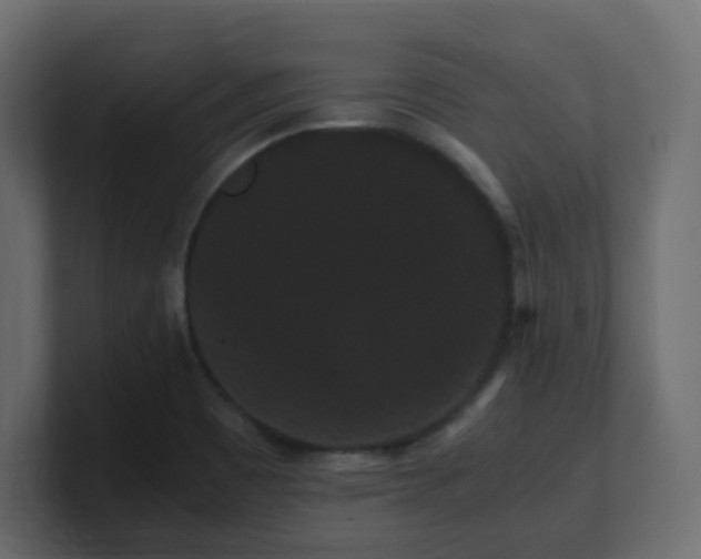 X0000101101465200806261502