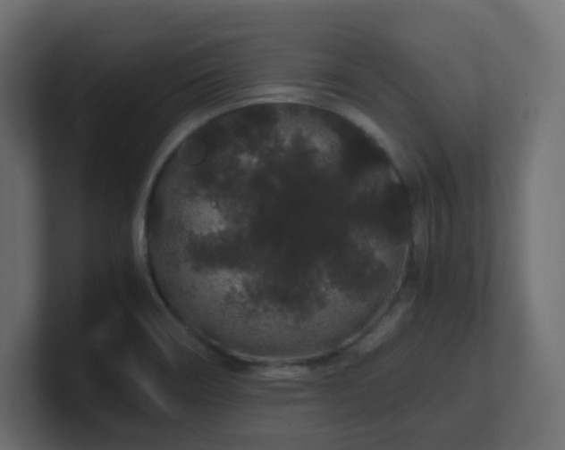X0000101101466200806261502