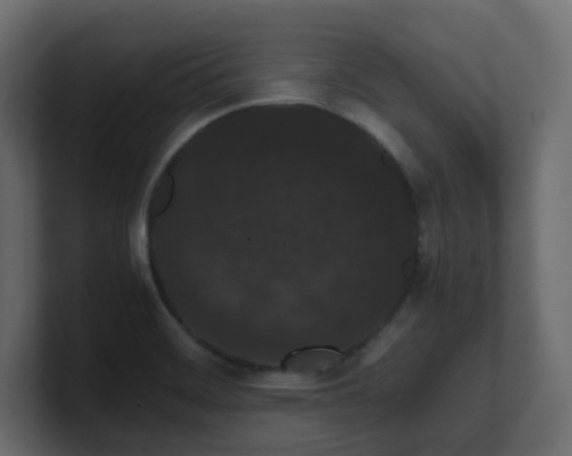 X0000101101468200806261502