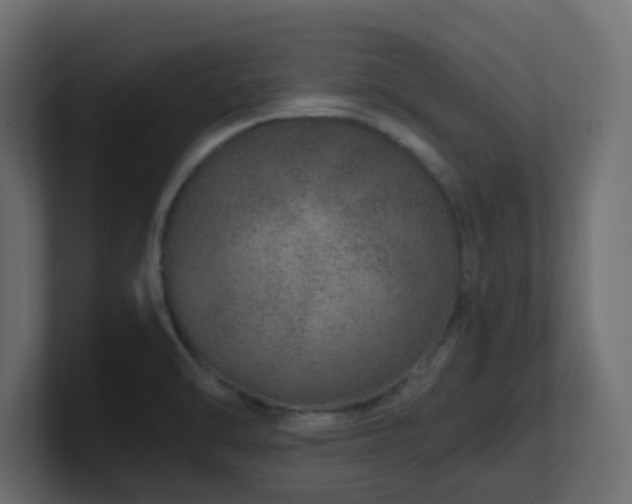 X0000101101470200806261502