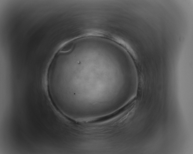 X0000101101471200806261502