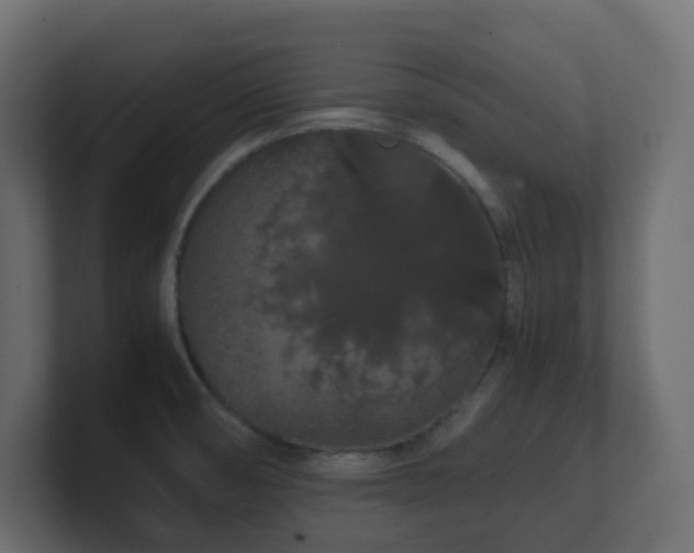 X0000101101474200806261502