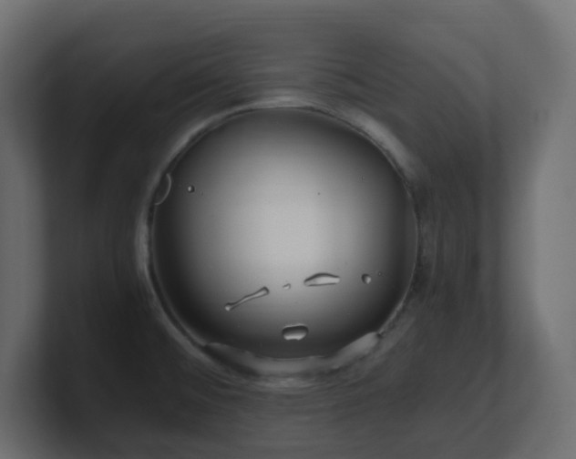 X0000101101476200806261502