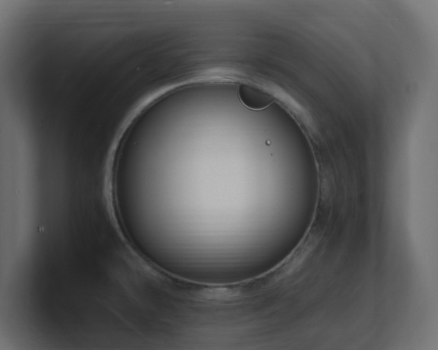 X0000101101478200806261502