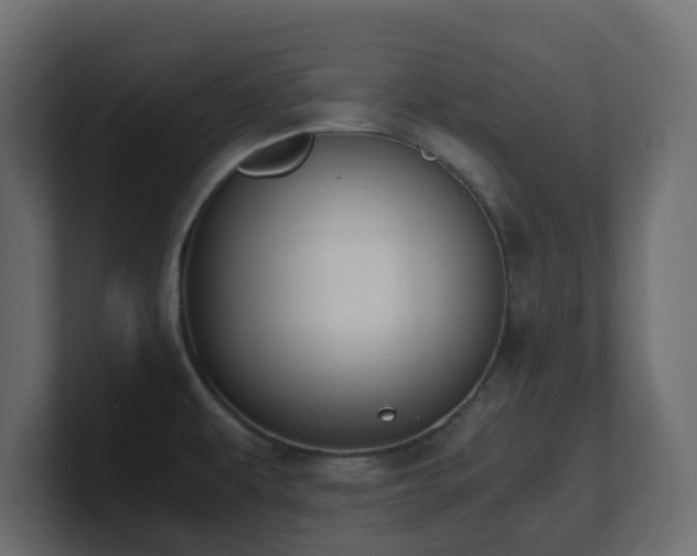 X0000101101479200806261502