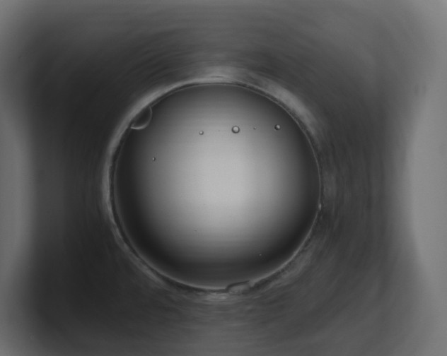 X0000101101480200806261502