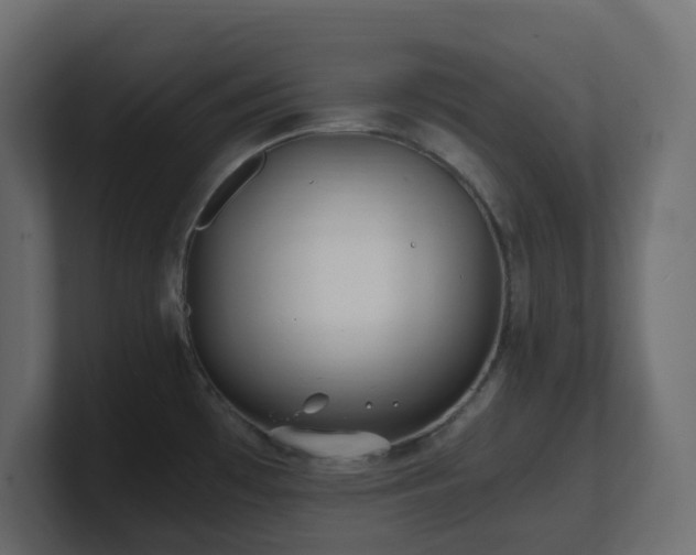 X0000101101481200806261502