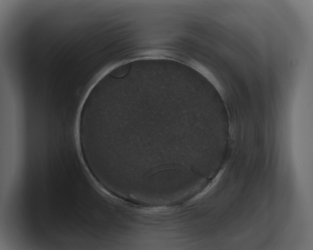 X0000101101482200806261502