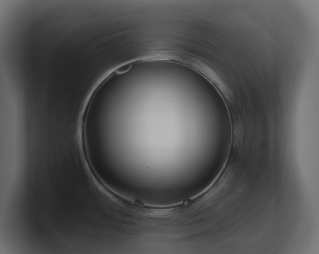 X0000101101484200806261502