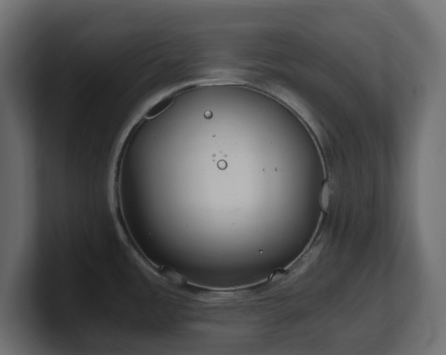 X0000101101485200806261502