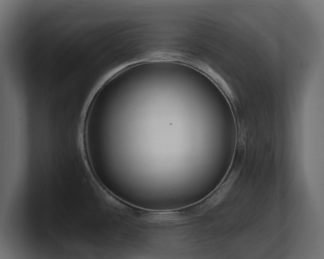 X0000101101486200806261502