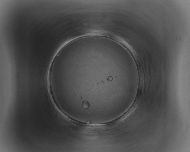 X0000101101487200806261502