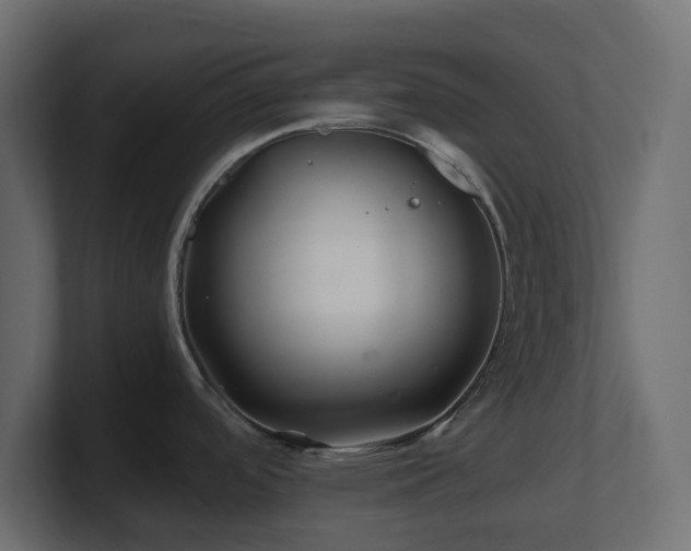 X0000101101488200806261502