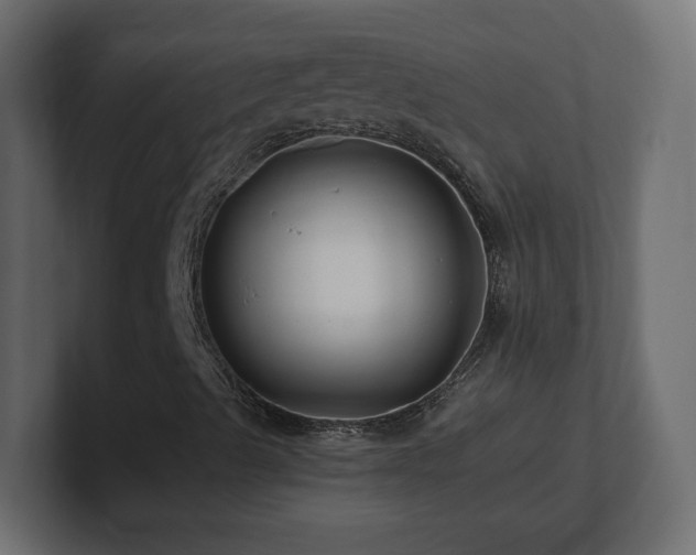 X0000101101489200806261501