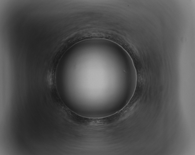X0000101101490200806261501