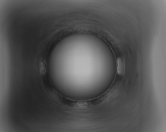 X0000101101491200806261501