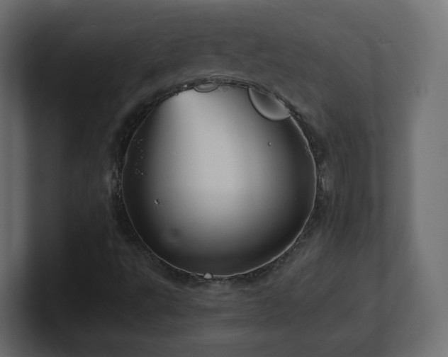 X0000101101495200806261501