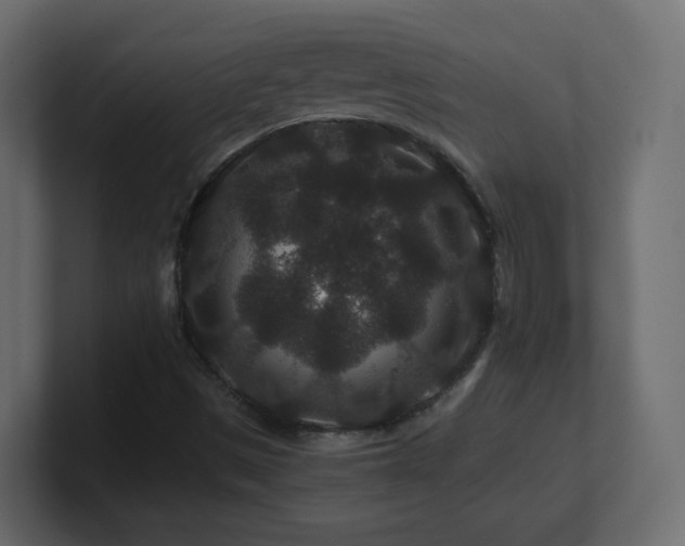 X0000101101497200806261501