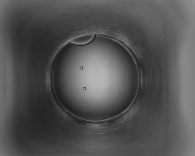 X0000101101500200806261501