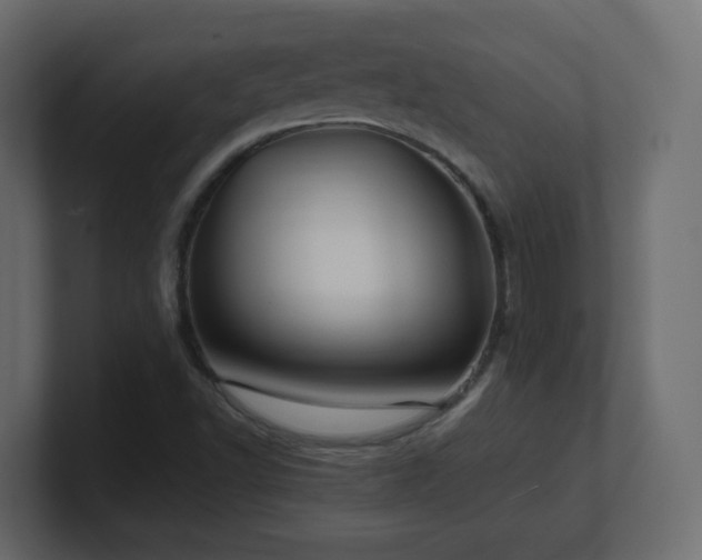 X0000101101502200806261501