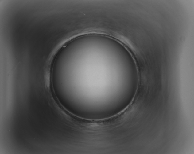 X0000101101504200806261501