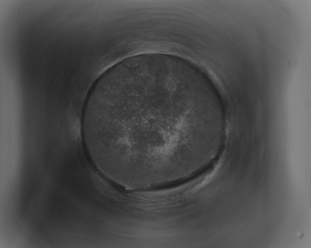 X0000101101505200806261501