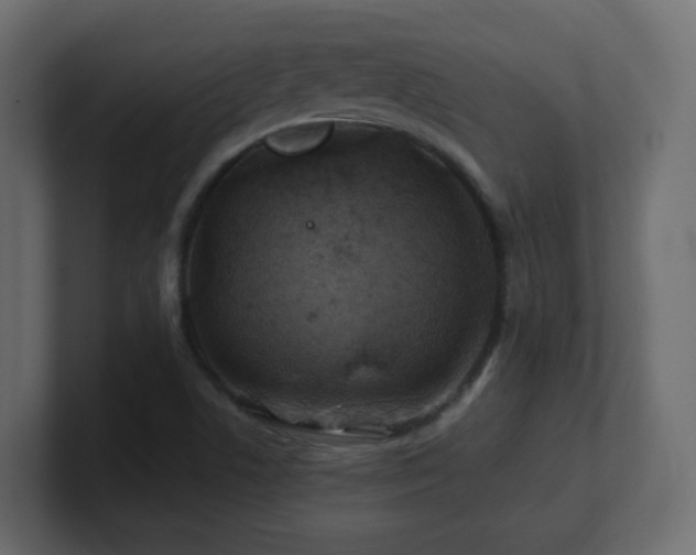 X0000101101506200806261501
