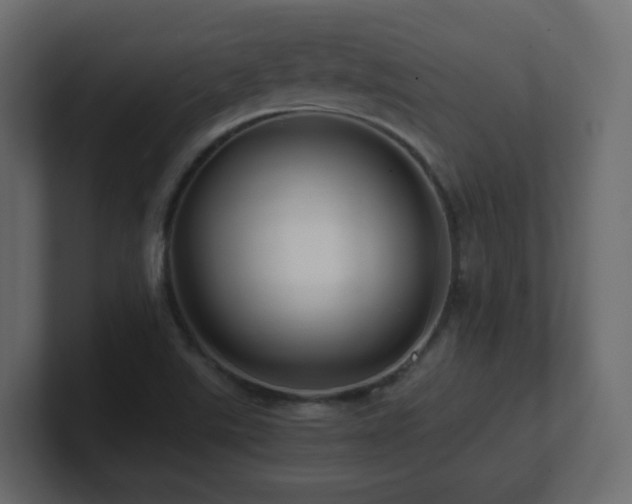 X0000101101507200806261501