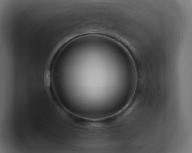 X0000101101509200806261501