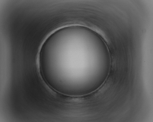 X0000101101516200806261501
