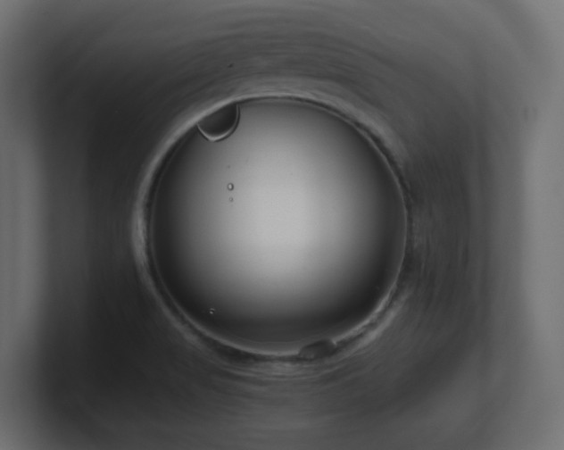 X0000101101517200806261501