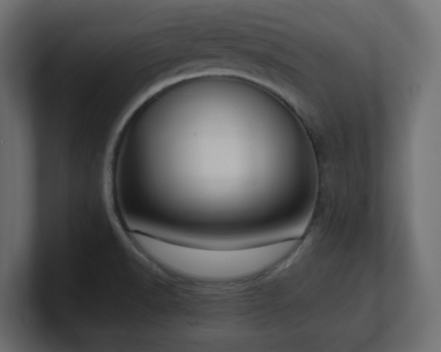 X0000101101518200806261501