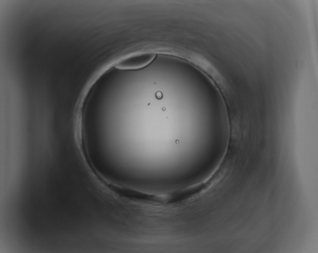 X0000101101520200806261501