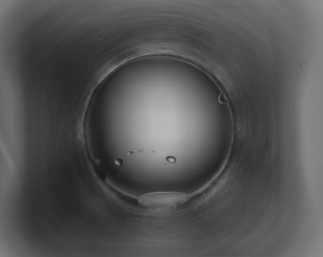 X0000101101521200806261501