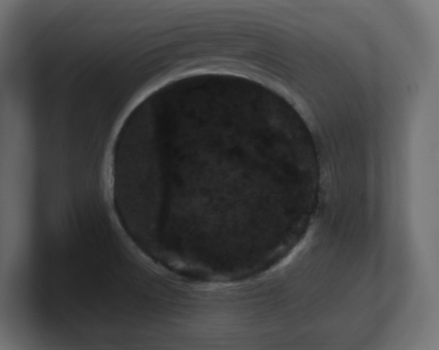 X0000101101522200806261501