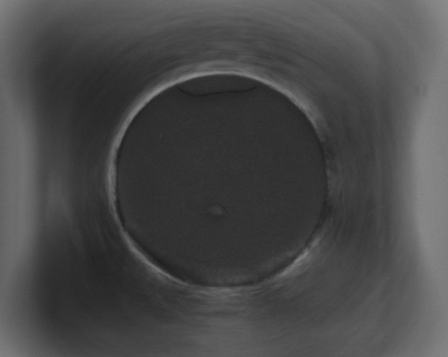 X0000101101527200806261501